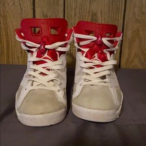 Air Jordan Alternate retro 6